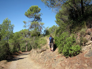 Miscel&middot;l&agrave;nia de l'itinerari