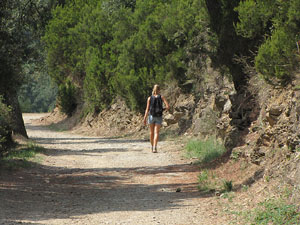 Miscel&middot;l&agrave;nia de l'itinerari