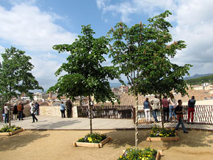 El Mirador dels Maristes