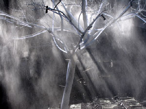 La Pla&ccedil;a dels Jurats