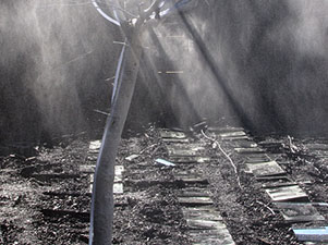 La Pla&ccedil;a dels Jurats