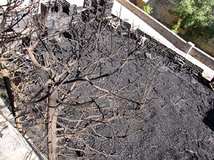 La Pla&ccedil;a dels Jurats