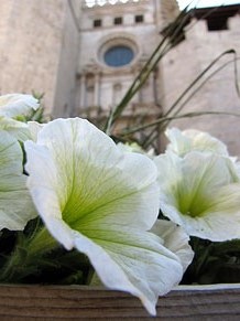 L'esgl&eacute;sia de Sant Feliu