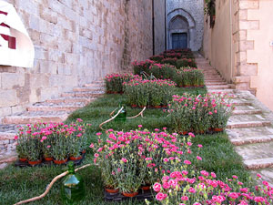 L'esgl&eacute;sia de Sant Feliu