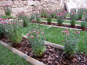 L'esgl&eacute;sia de Sant Feliu