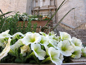 L'esgl&eacute;sia de Sant Feliu