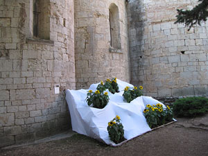 Sant Pere de Galligants