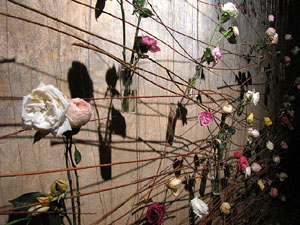 Museu d'Hist&ograve;ria de la Ciutat