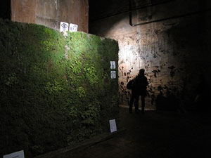 Museu d'Hist&ograve;ria de la Ciutat