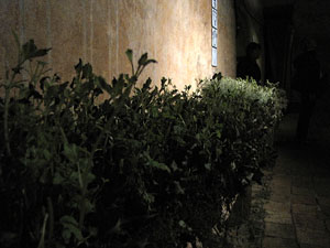 Museu d'Hist&ograve;ria de la Ciutat