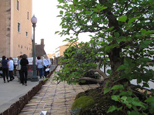 Museu d'Hist&ograve;ria de la Ciutat