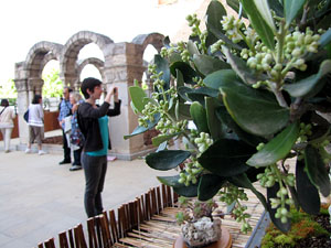 Museu d'Hist&ograve;ria de la Ciutat