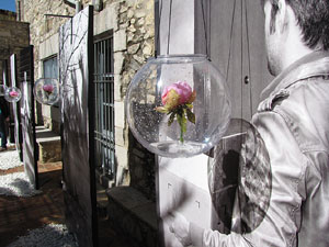 Jard&iacute; del Museu d'Art