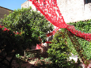 Jard&iacute; del Museu d'Art