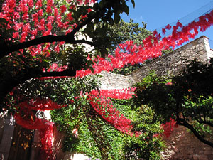 Jard&iacute; del Museu d'Art