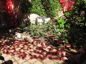 Jard&iacute; del Museu d'Art