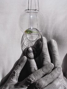 Jard&iacute; del Museu d'Art