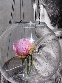 Jard&iacute; del Museu d'Art