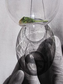 Jard&iacute; del Museu d'Art