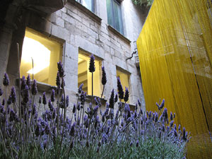 El carrer de la For&ccedil;a