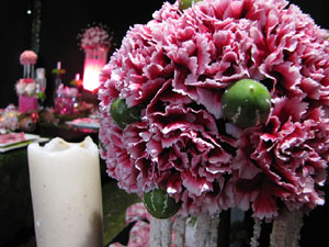 El carrer de la For&ccedil;a