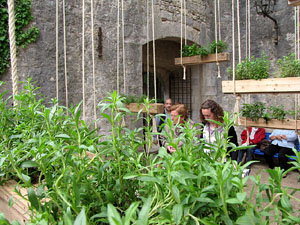 Torre Gironella i Jardins dels Alemanys