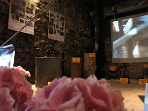 Torre Gironella i Jardins dels Alemanys