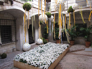 El carrer dels Ciutadans