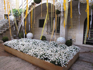 El carrer dels Ciutadans