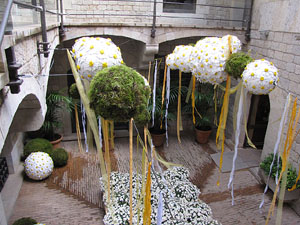 El carrer dels Ciutadans