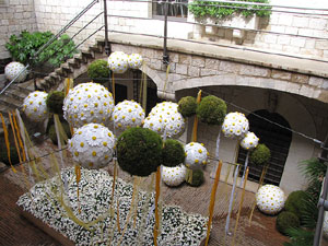 El carrer dels Ciutadans