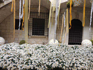 El carrer dels Ciutadans