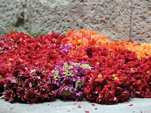 El carrer dels Ciutadans