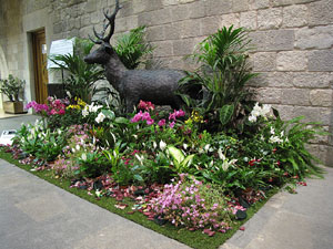 El carrer dels Ciutadans