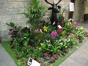 El carrer dels Ciutadans