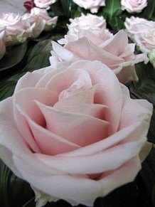 Els claustres de la Catedral