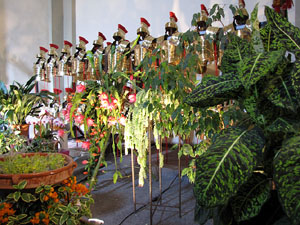 Esgl&eacute;sia de Sant Lluc - Castrum dels Manaies de Girona