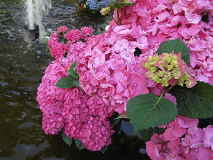 Els Jardins del Dr. Figueras