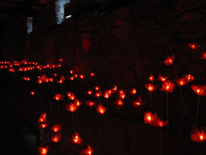 Casa de Lle&oacute; Avinay