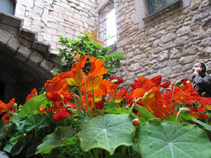 Casa de Lle&oacute; Avinay