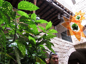 Casa de Lle&oacute; Avinay