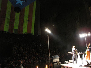 Marxa de Torxes 2013