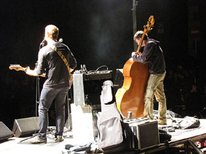 Marxa de Torxes 2013