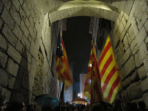 Marxa de Torxes 2013