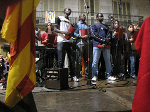 Marxa de Torxes 2013