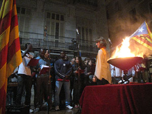 Marxa de Torxes 2013