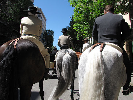 La Cavalcada de Sant Antoni 2013