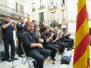 Diada Nacional 2014. Sardanes i concentraci&oacute; a la pla&ccedil;a del Vi
