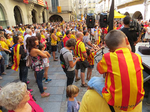 Diada Nacional 2014. Sardanes i concentraci&oacute; a la pla&ccedil;a del Vi