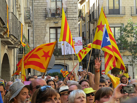 Diada Nacional 2014. Sardanes i concentració a la plaça del Vi
